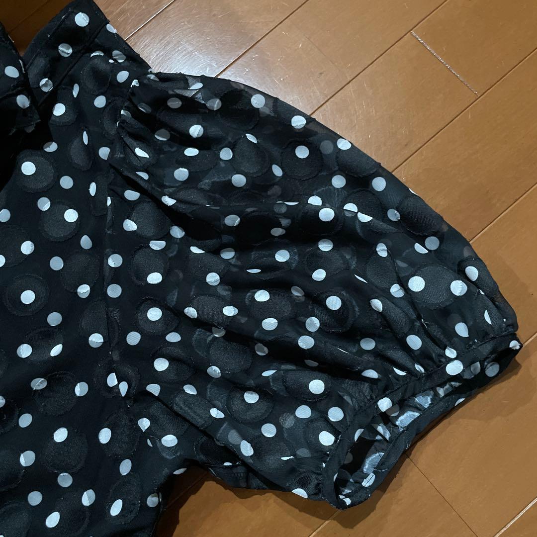 チュニックワンピース　⑥ ローズティアラ　46 水玉　ゆったり