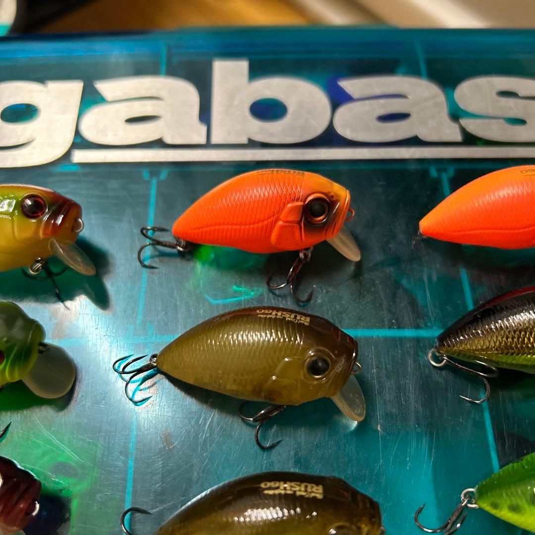 インキュベーター RUSH ラッシュ 60 DROP ドロップ 75