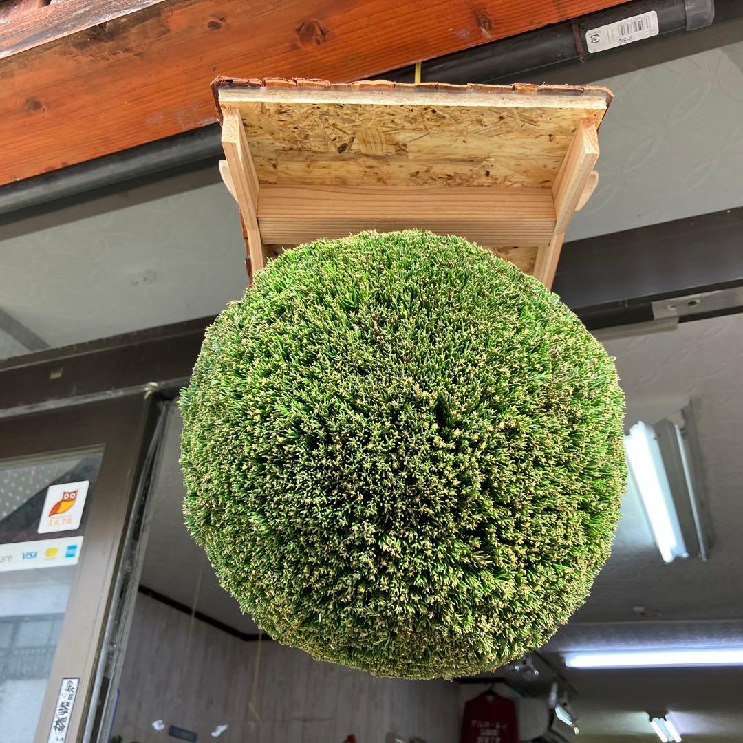 杉玉【屋根付き】④