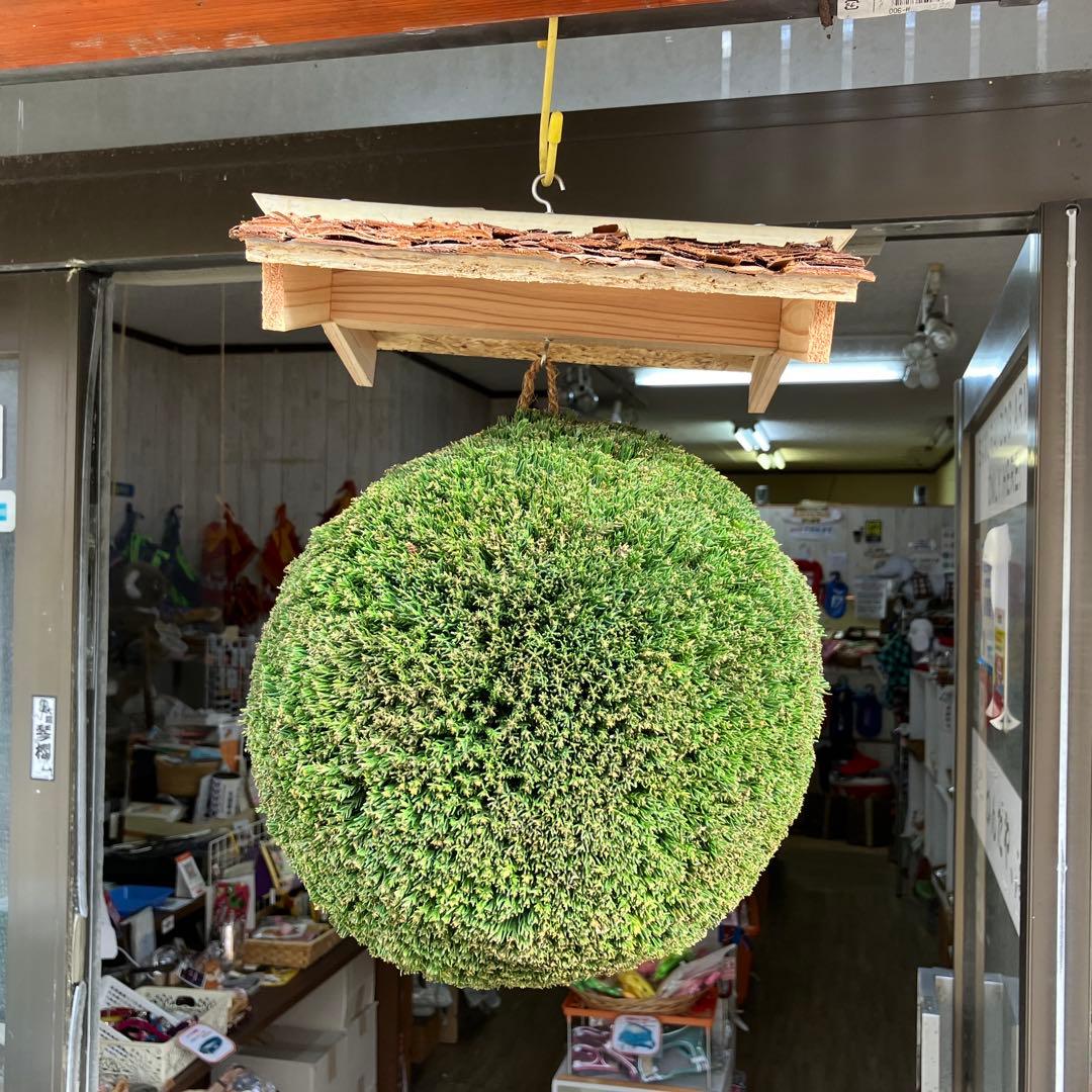 杉玉【屋根付き】④