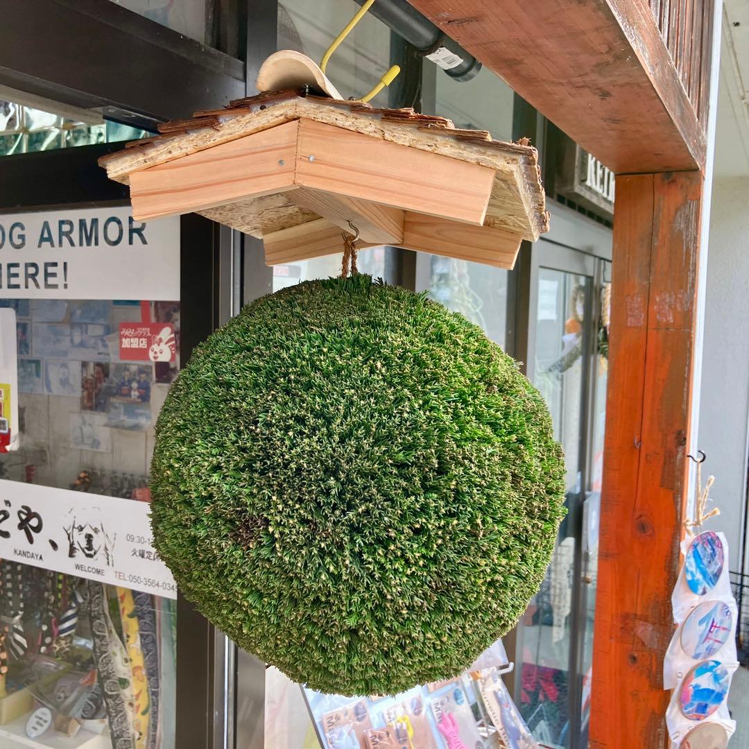 杉玉【屋根付き】④