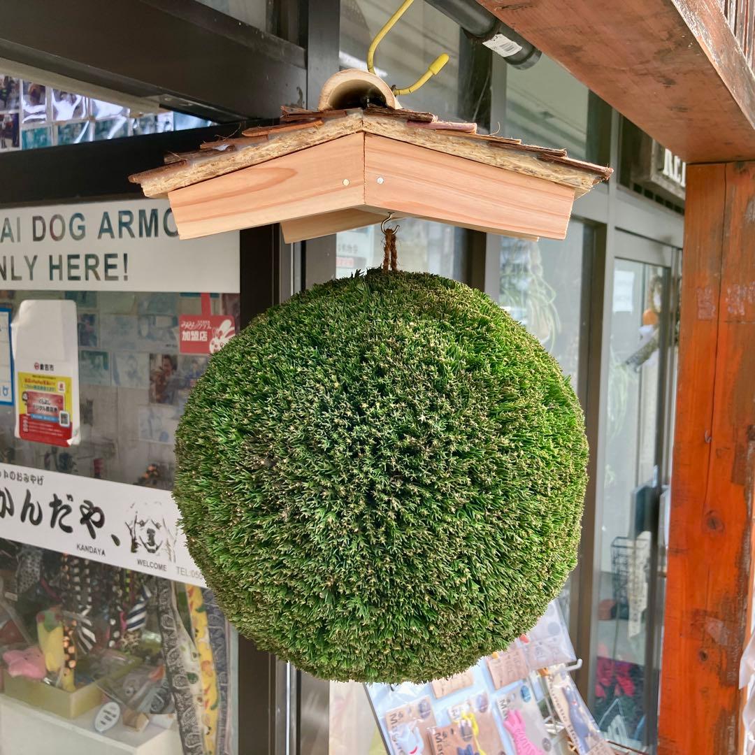 杉玉【屋根付き】④