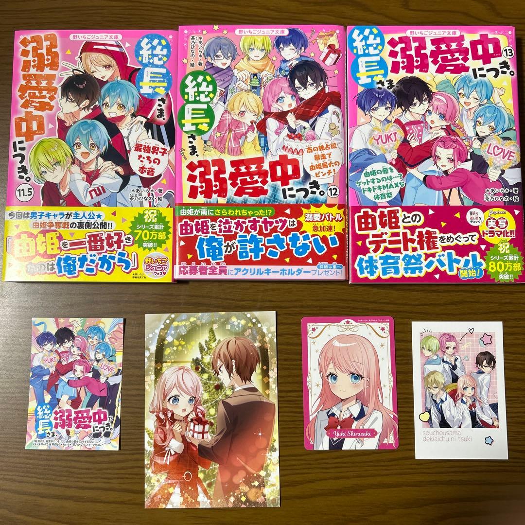 【美品・送料無料】総長さま、溺愛中につき。（全13巻+2.5冊）