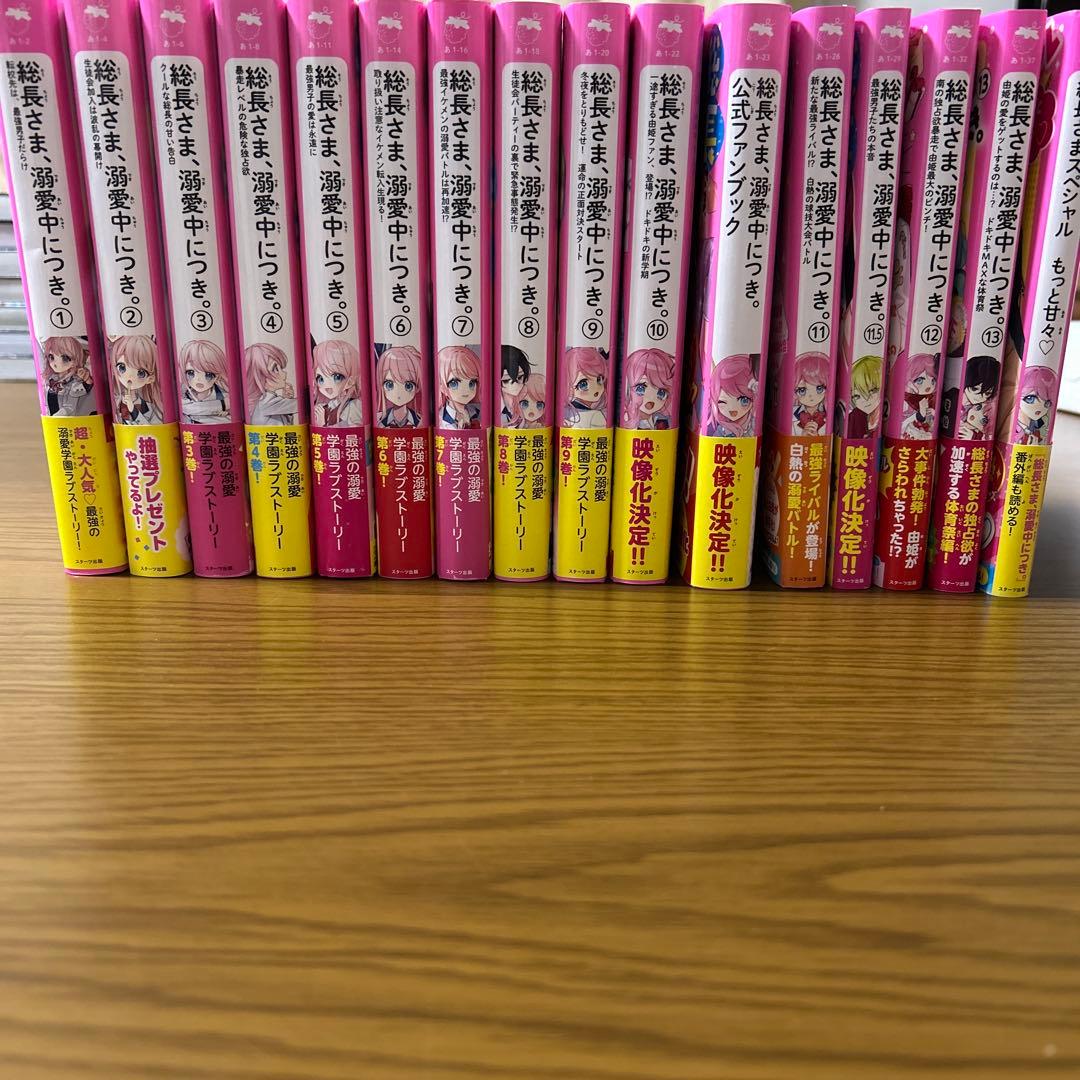 【美品・送料無料】総長さま、溺愛中につき。（全13巻+2.5冊）