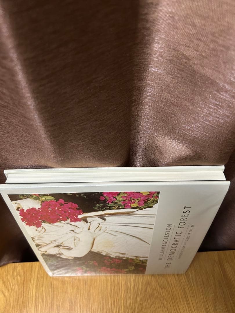 ウィリアム・エグルストン THE DEMOCRATIC FOREST