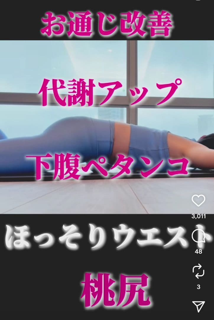 【新品·未使用·未開封】ホグッシープラス　ユミコア　HoggsyPLUS