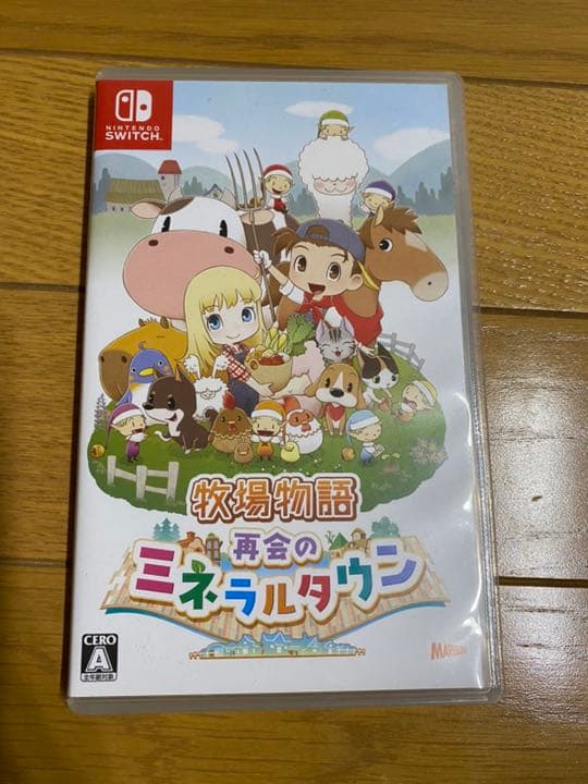 スイッチ　Switch 本体　カセット