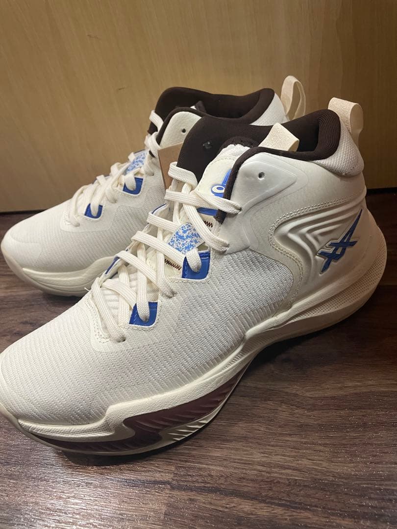 シューズ(男性用) NOVA SURGE 3 26.0cm