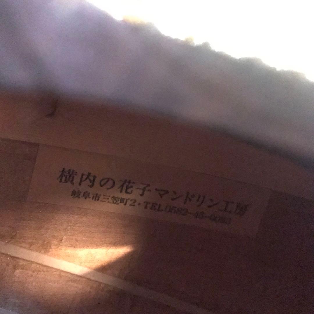 横内の花子 マンドリン