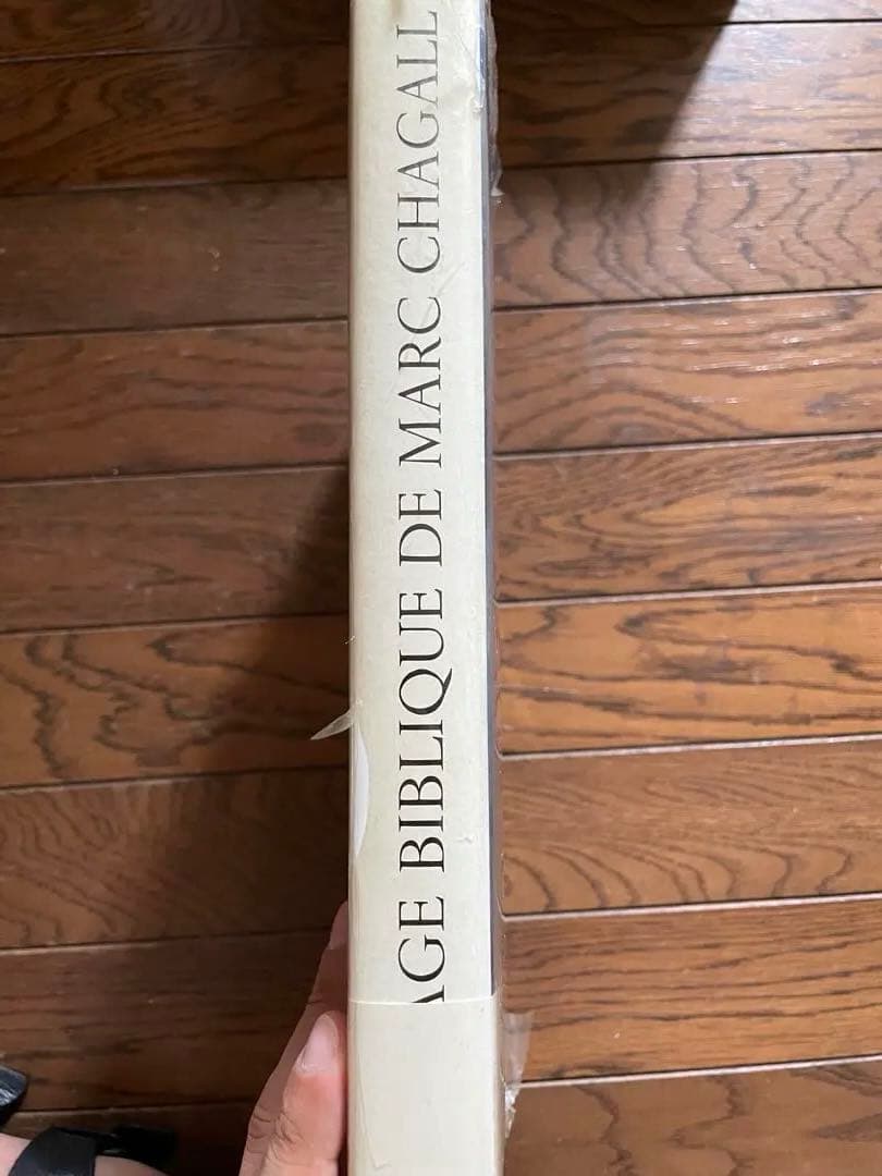 マルク・シャガール　聖書のメッセージ