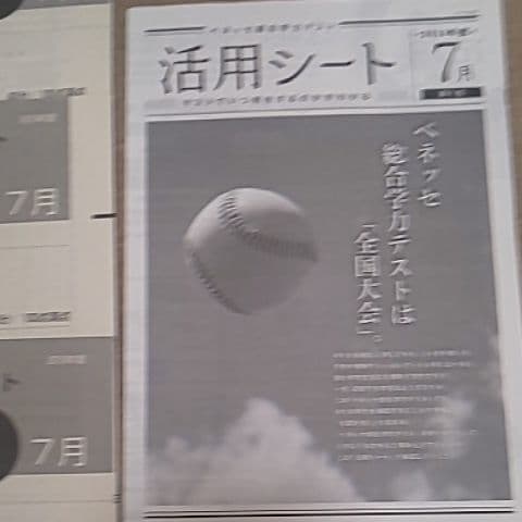 ベネッセ総合学力テスト 2019 高1 1月、７月、11月(解答解説のみ)