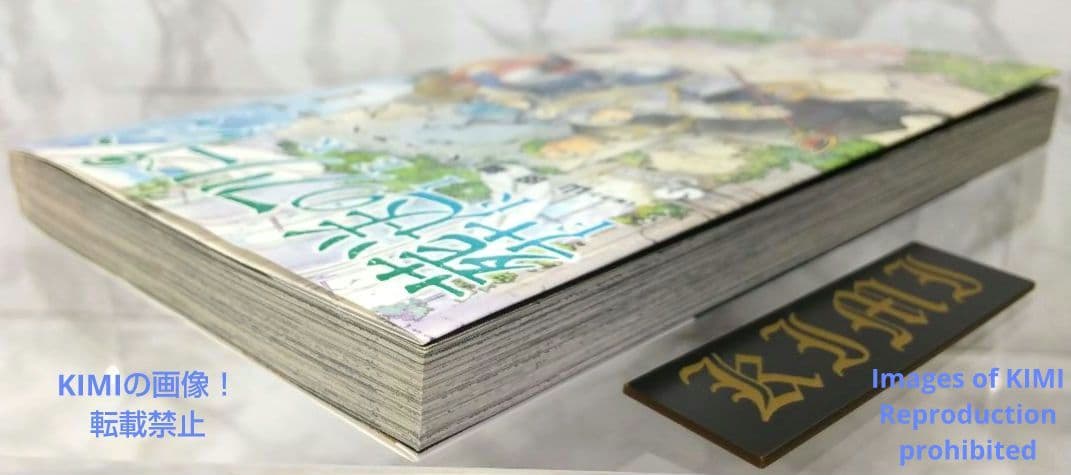 初版 第1刷発行 葬送のフリーレン 1 コミック 漫画 本 2020 山田 鐘人