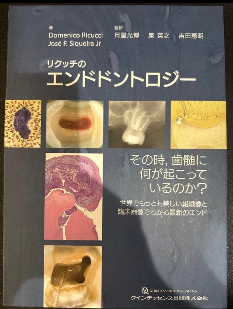 裁断済み　リクッチのエンドドントロジー