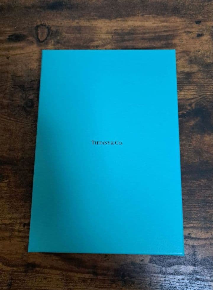 ティファニー ネックレス ジュエリーケース ブルー フラグメントケース