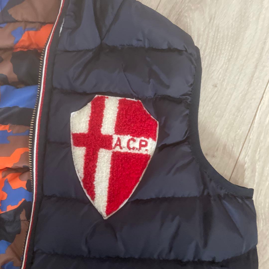 ハイドロゲン　ダウンベスト　リバーシブル