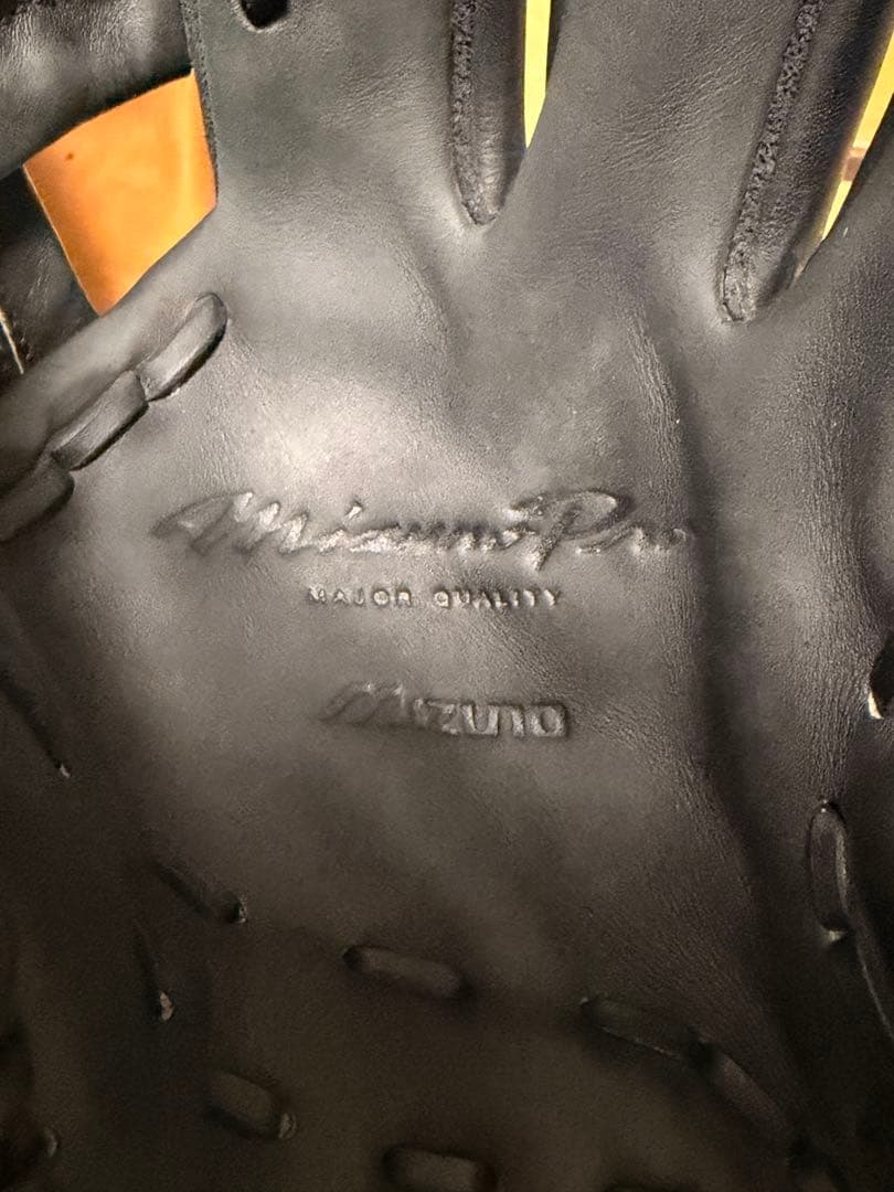 ビックM ミズノプロ 4D TECHNOLOGY 黒 外野手