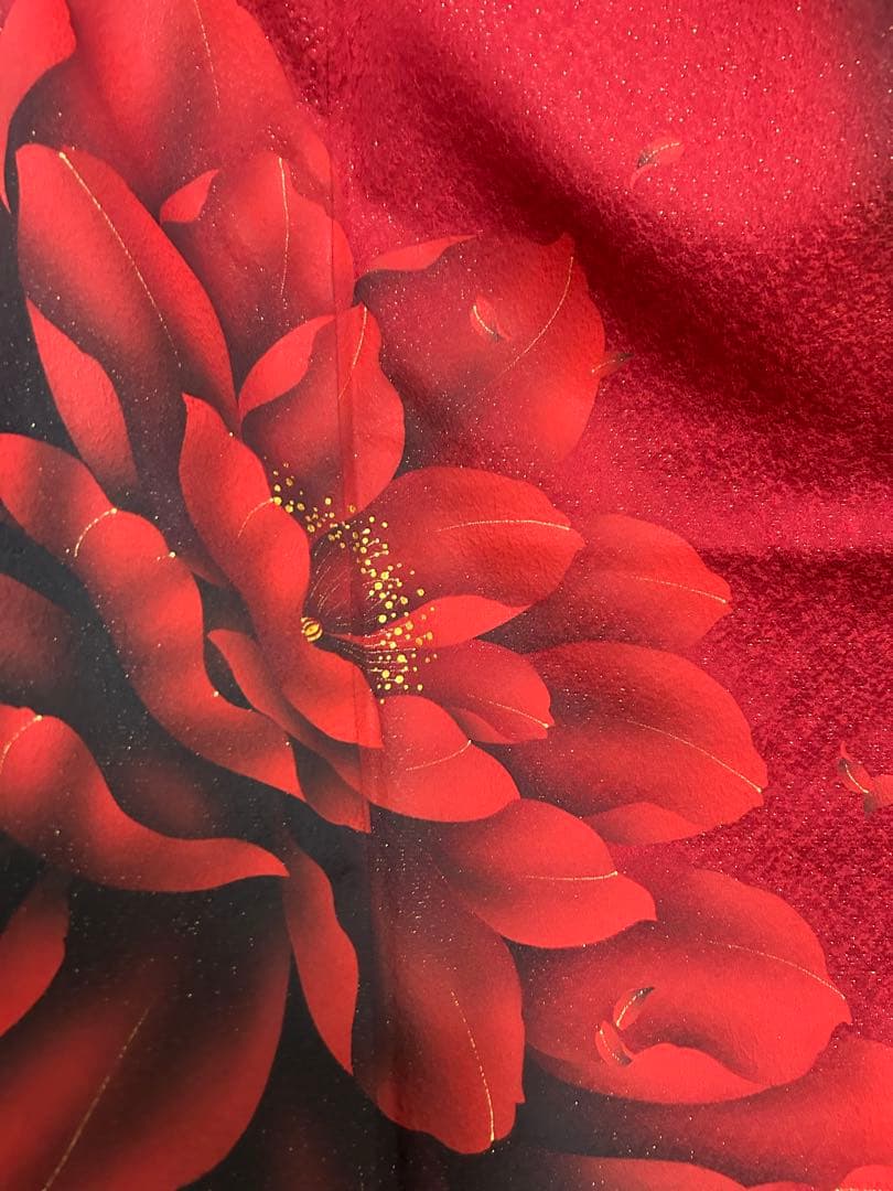 豪華振袖５点セット！！　モダン　グラデーション　花柄　１９５