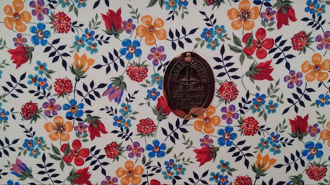 未使用　グローブトロッターSHIPS 21inch スーツケース