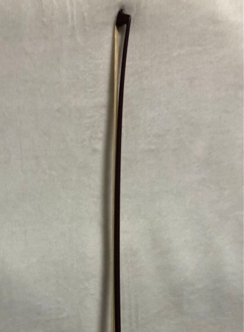 Carlo giordano/カルロジョルダーノ エレキバイオリン EV-202