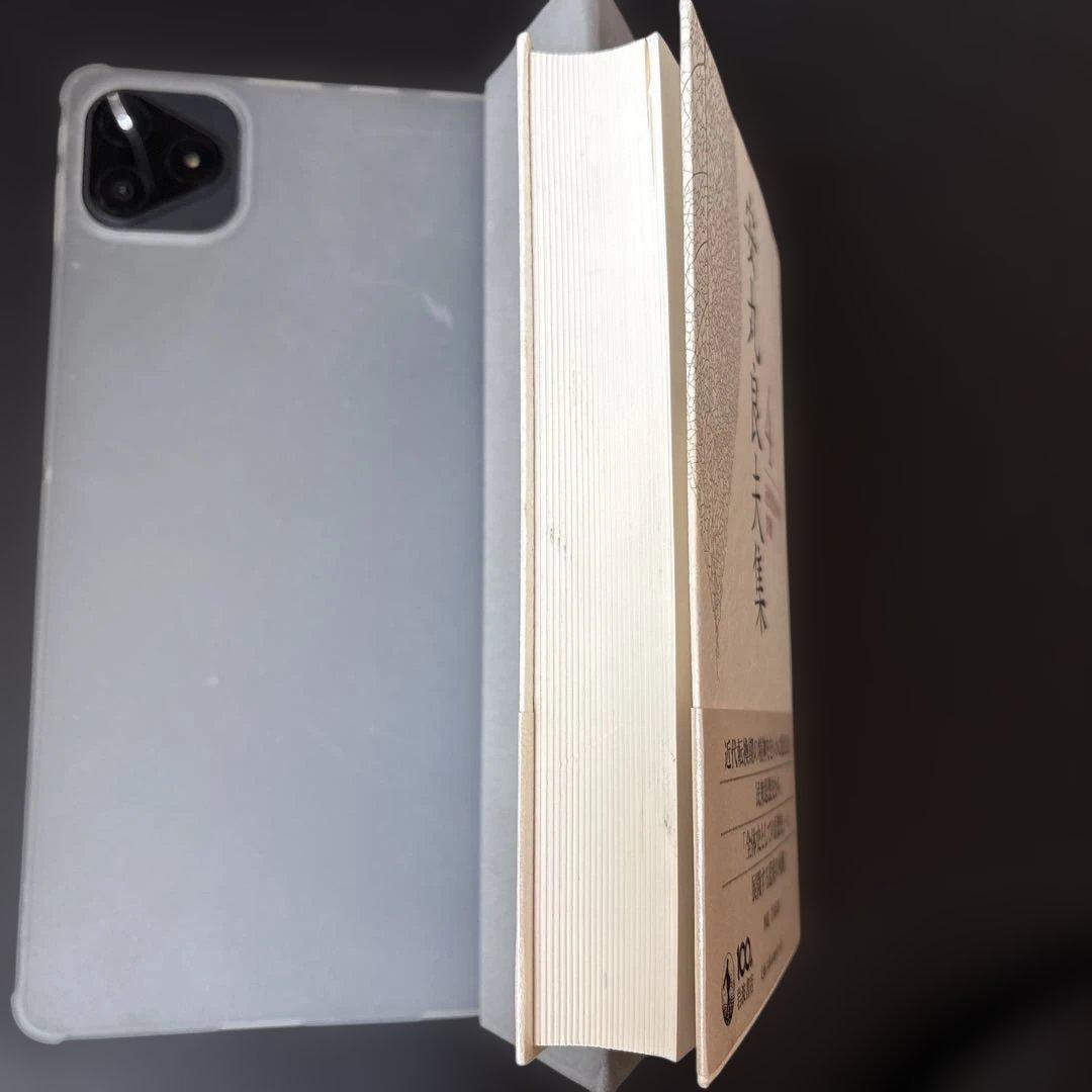 【未読保管品】 安丸良夫集 4 近代化日本の深層　岩波書店