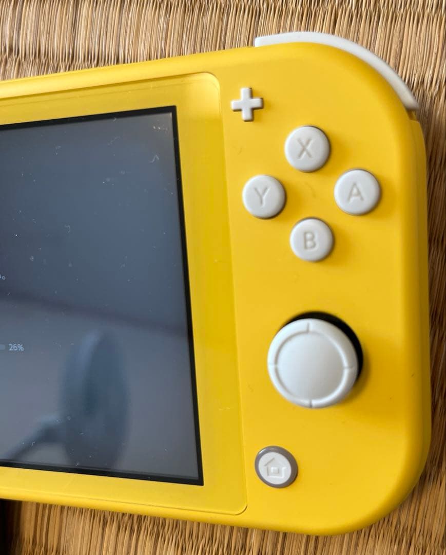 Nintendo Switch Lite イエロー　専用フリップカバー付き