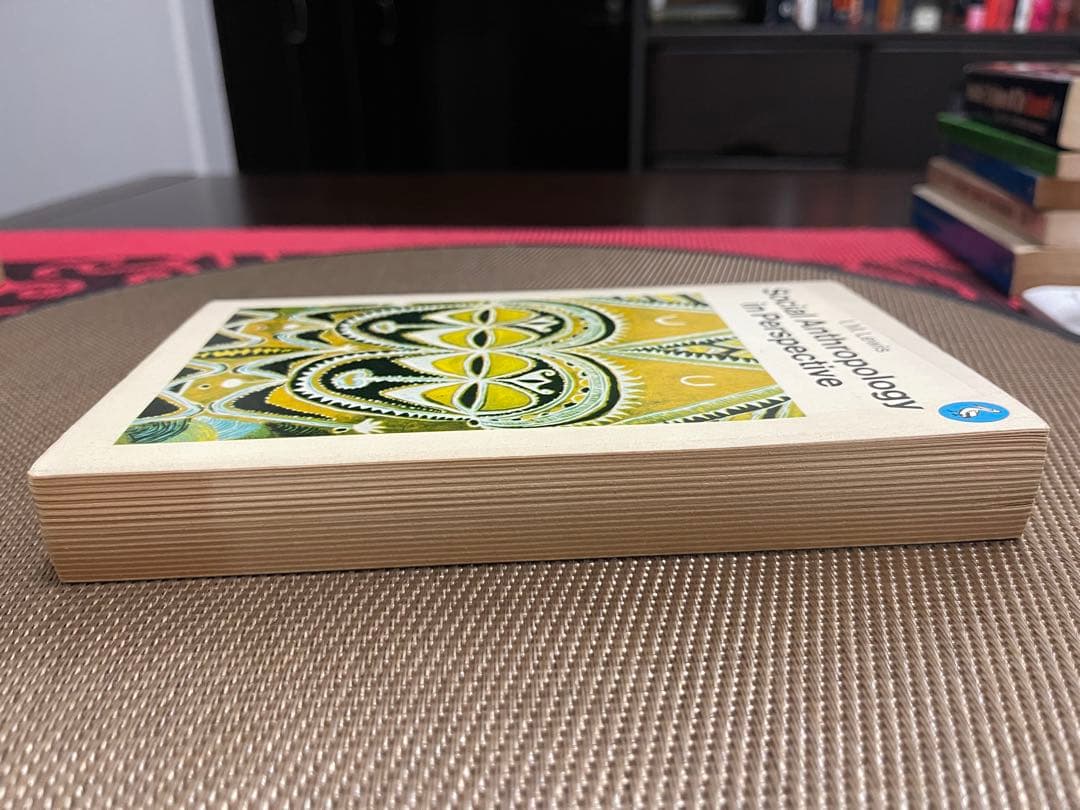 希少Social Anthropology in Perspective