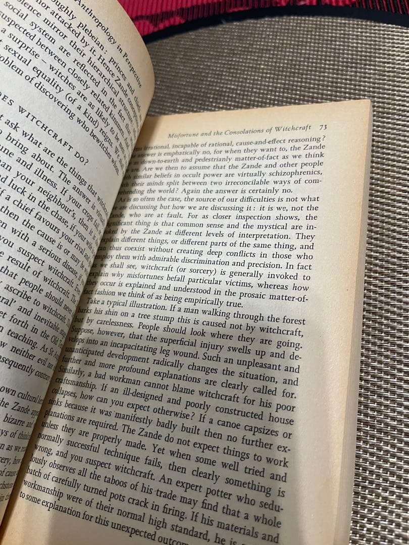 希少Social Anthropology in Perspective