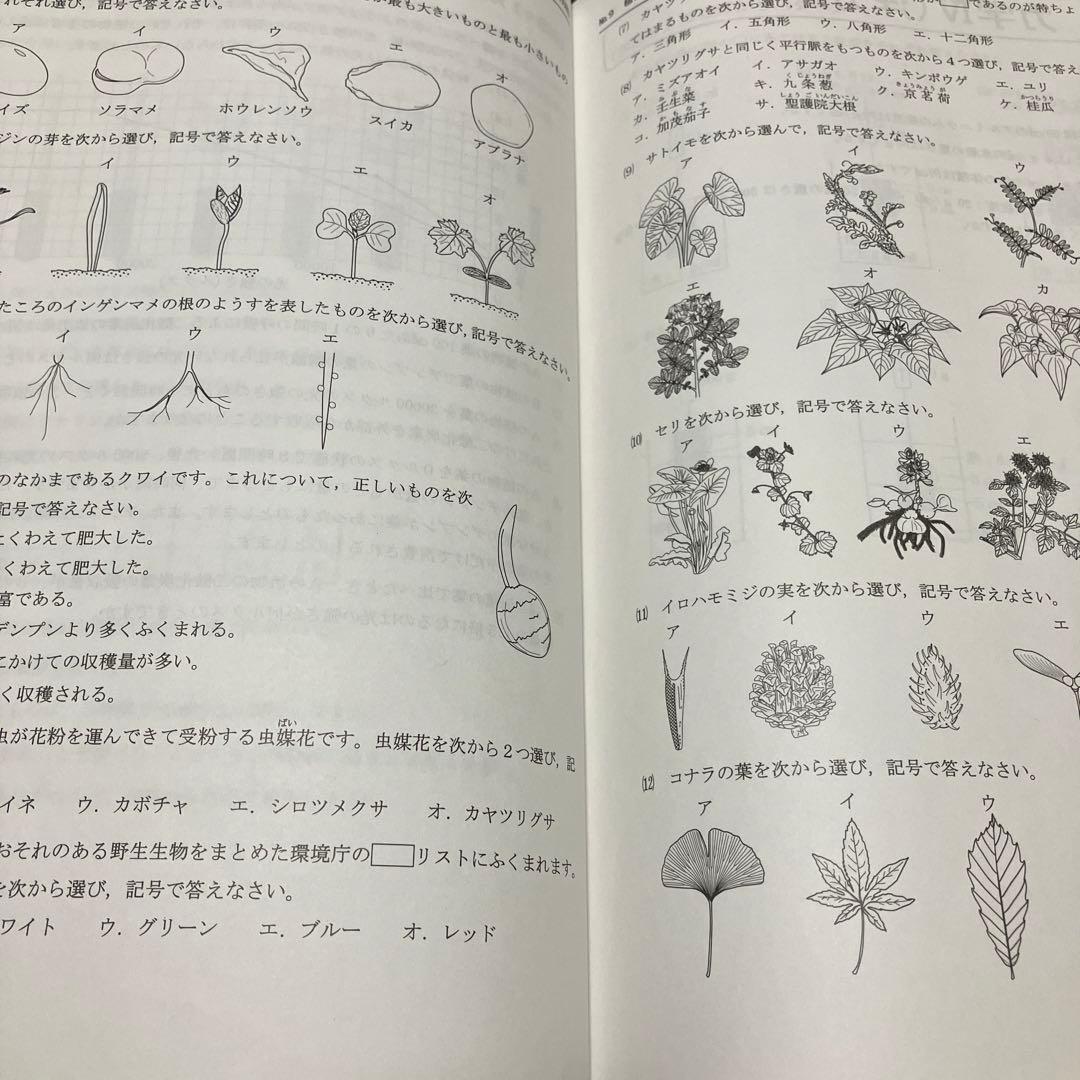 浜学園　小6最高レベル特訓　理科　全復習テストNo.1〜No.40 全解答あり