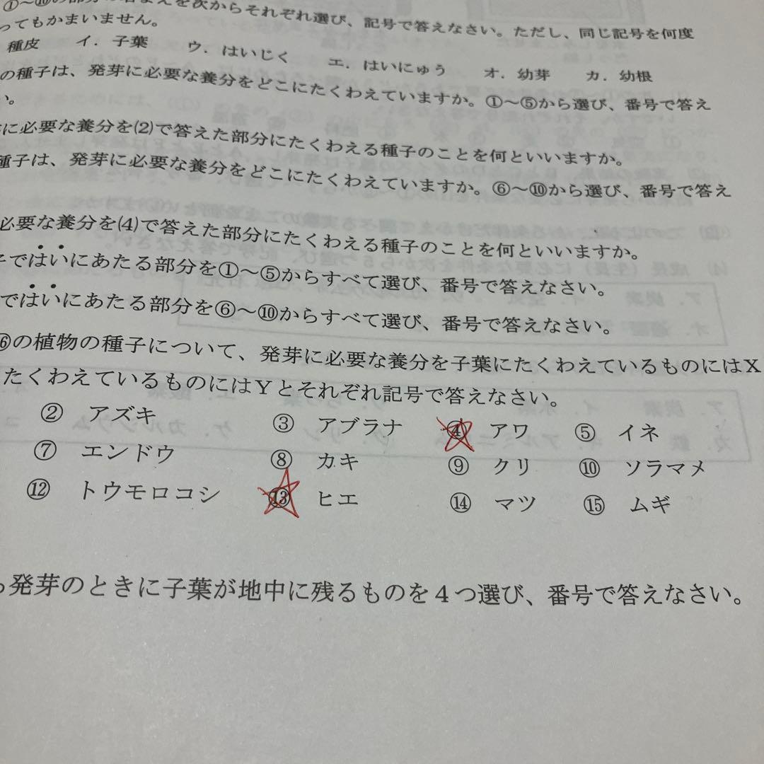 浜学園　小6最高レベル特訓　理科　全復習テストNo.1〜No.40 全解答あり