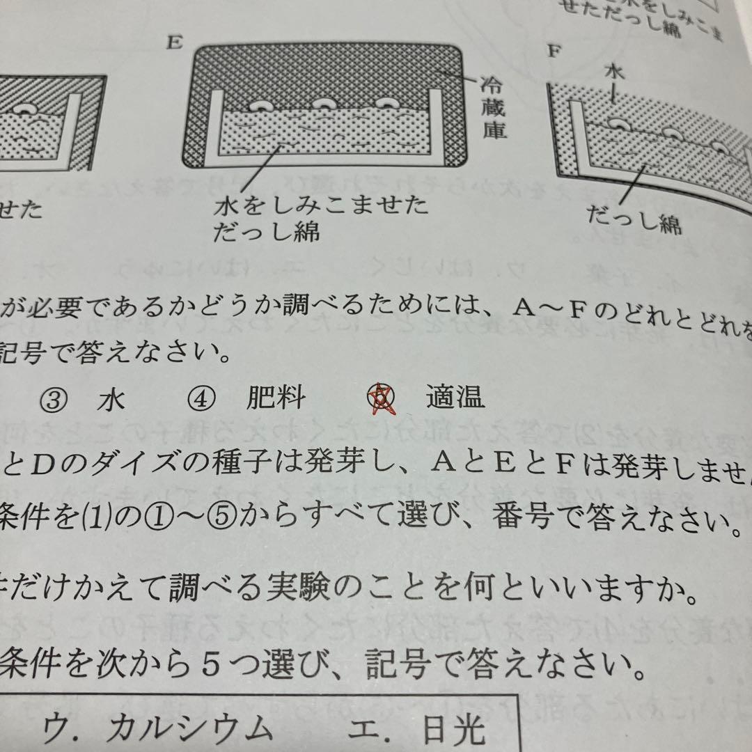 浜学園　小6最高レベル特訓　理科　全復習テストNo.1〜No.40 全解答あり