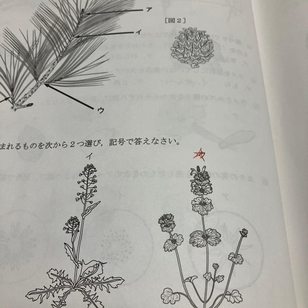 浜学園　小6最高レベル特訓　理科　全復習テストNo.1〜No.40 全解答あり
