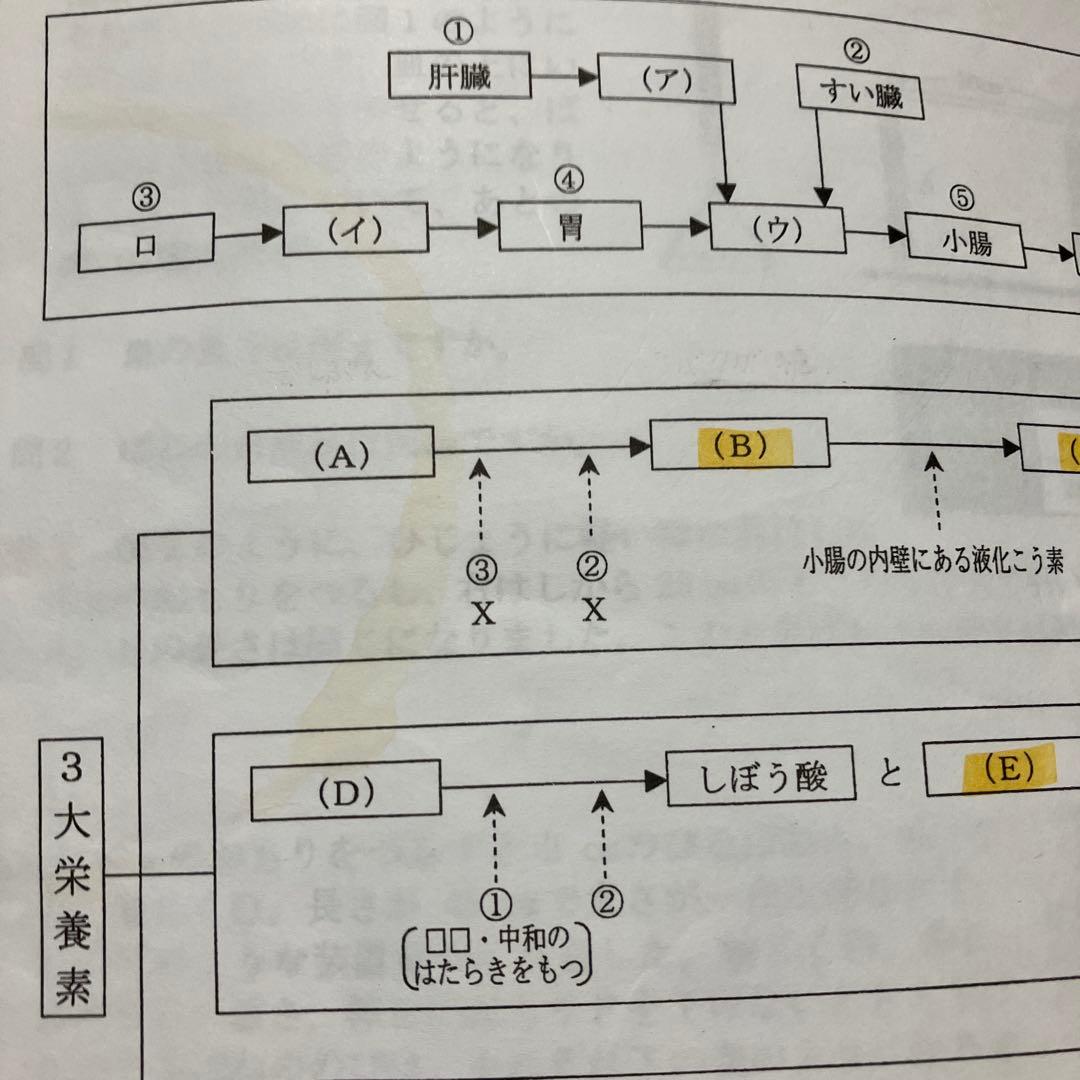 浜学園　小6最高レベル特訓　理科　全復習テストNo.1〜No.40 全解答あり