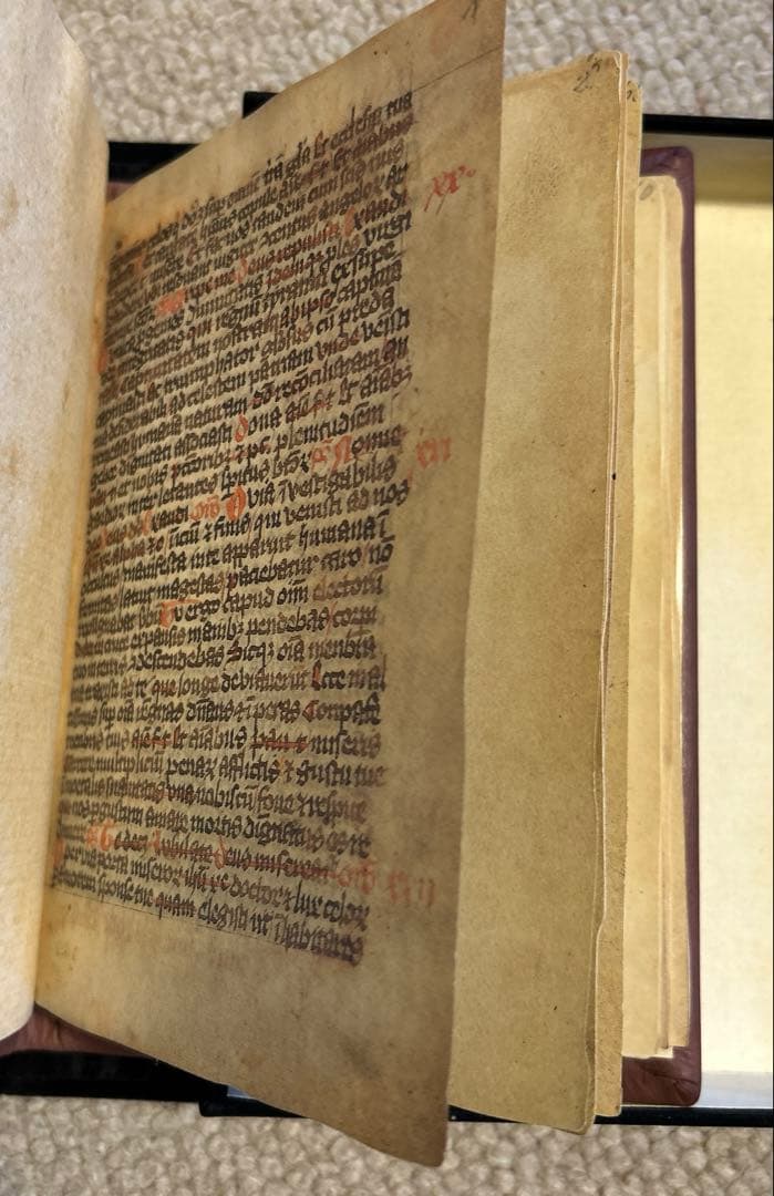 Gotische Bilderbibel 850部限定ファクシミリエディション