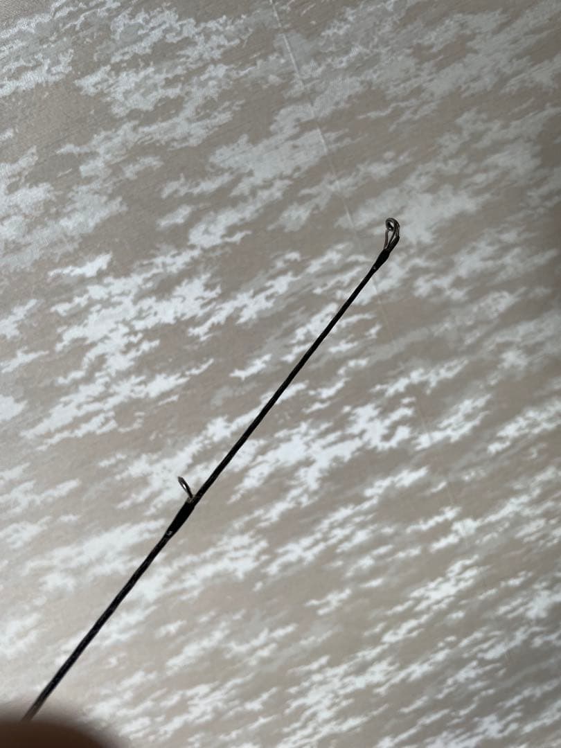 21ポイズングロリアス　2610ul/m 送料込み