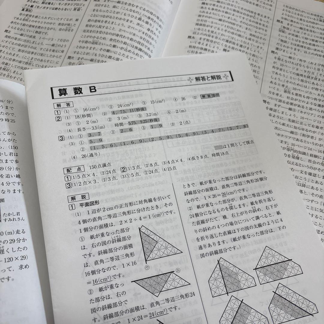 【最新版】SAPIX 6年 マンスリーテストフルセット2024年度全17回1年分