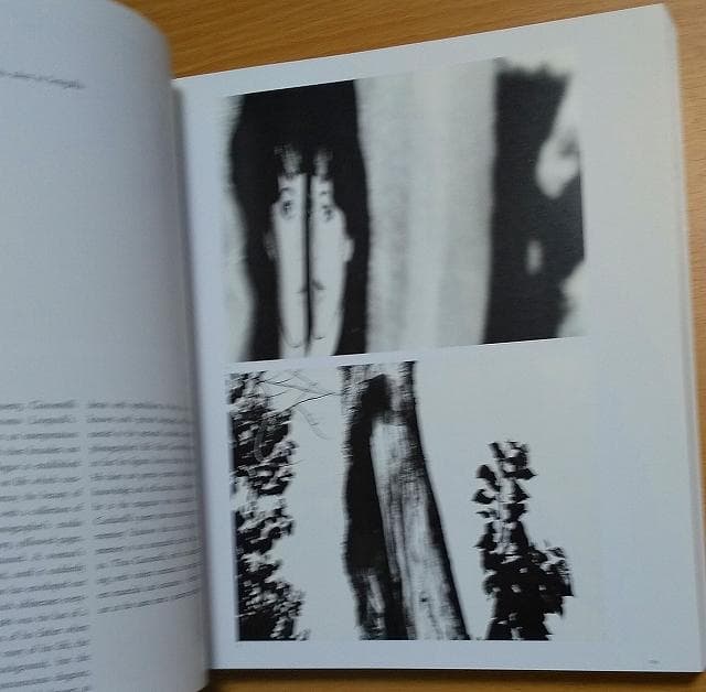 アート・デザイン・音楽 Mario Giacomelli Alistair Crawford PHAID