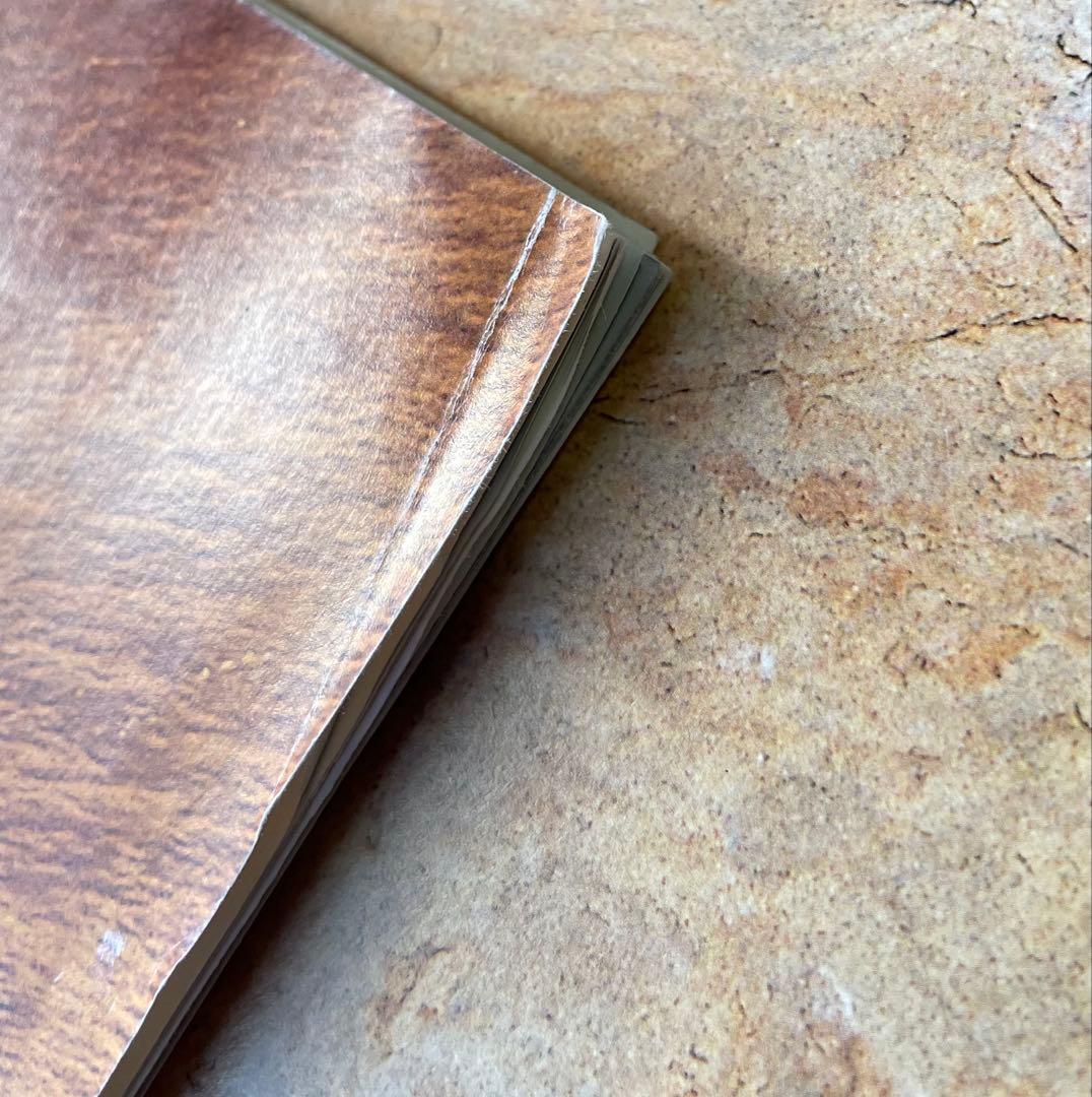 【希少】 パタゴニア patagonia カタログ spring 2003