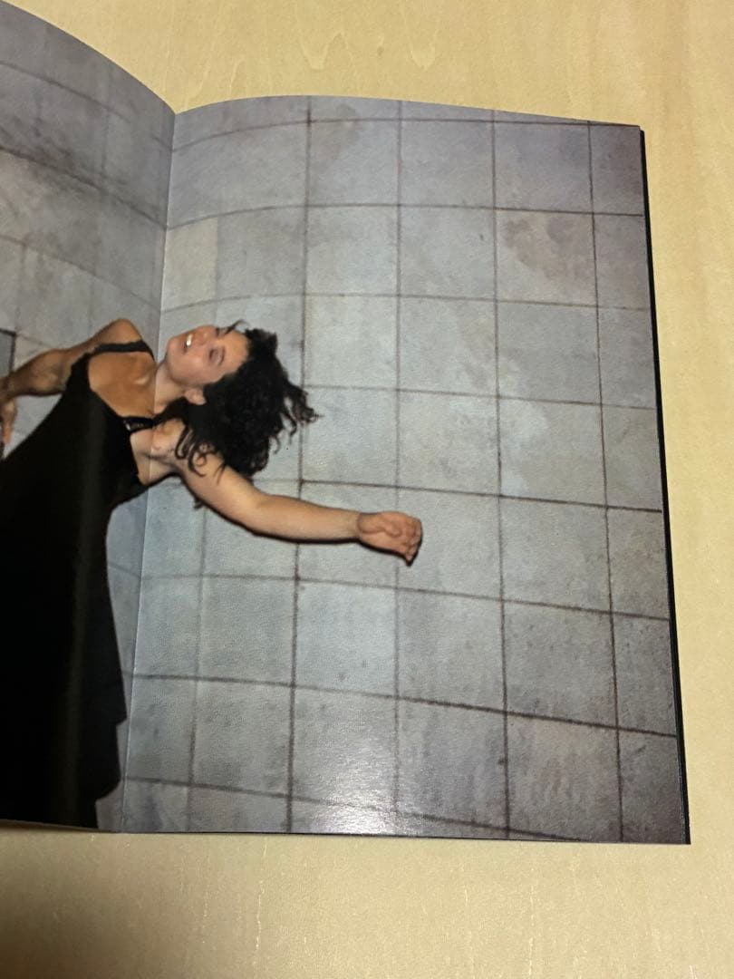 chicken skin photographs 清野賀子