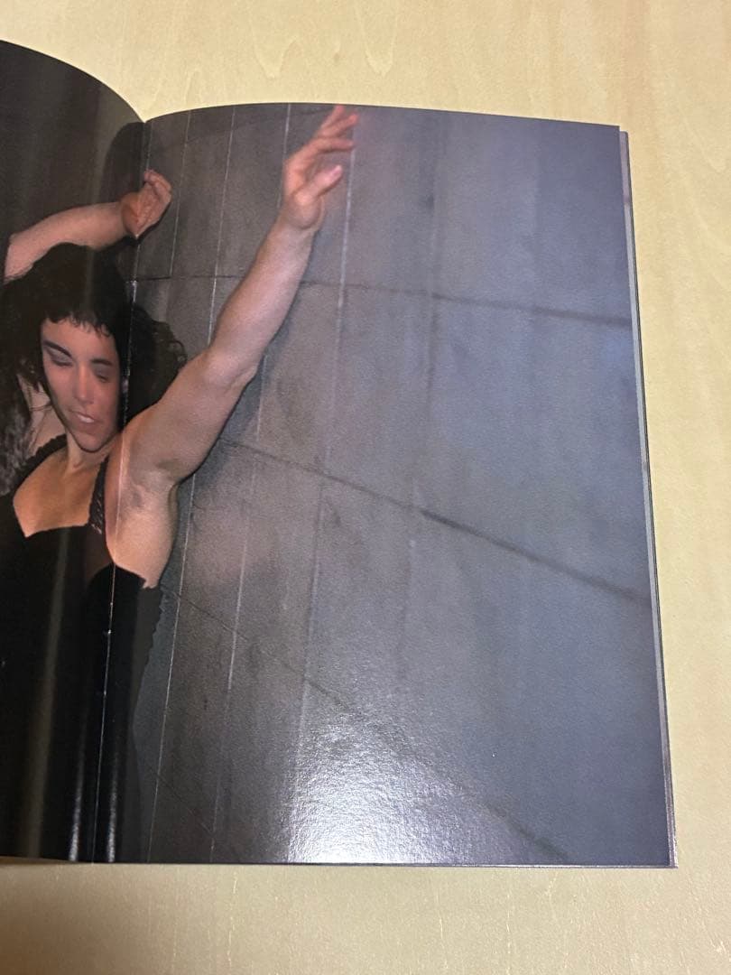 chicken skin photographs 清野賀子