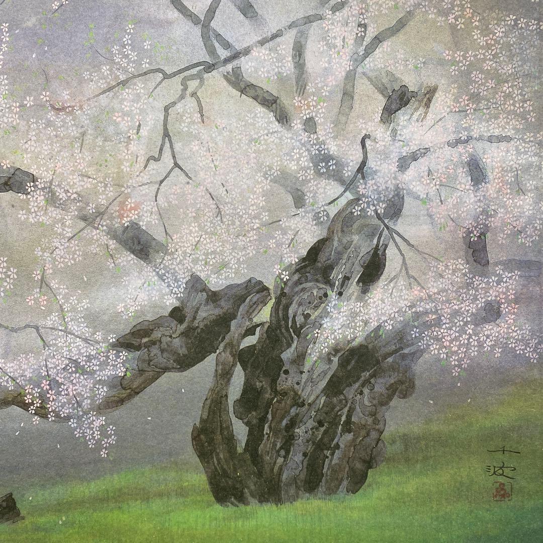 美品 掛け軸 中島千波筆「臥龍桜」名画 解説付 縁起物 日本画