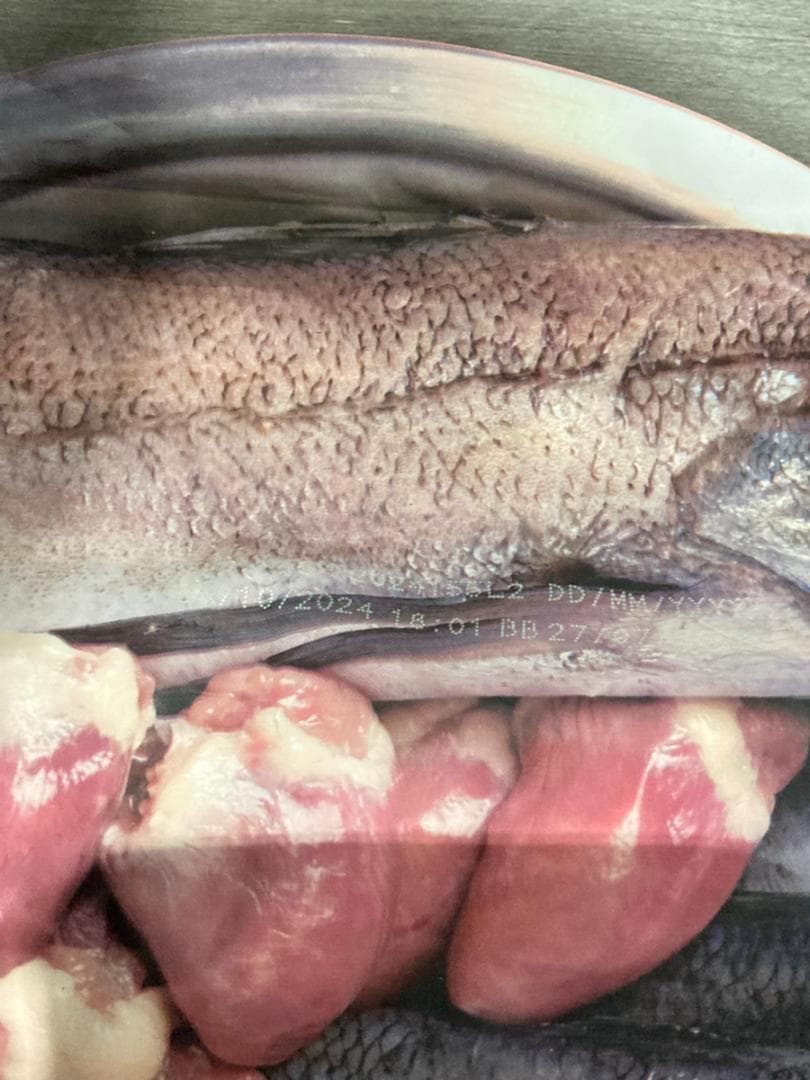 正規品 カナダ産 Orijinオリジン パピー 11.4kg