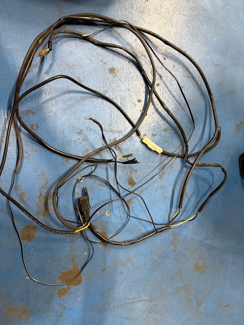 IPF フォグライト イエロー/ブルー