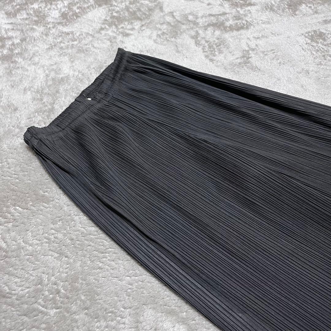 usagihime_4　イッセイミヤケ　ワイド　ストレートパンツ　グレー