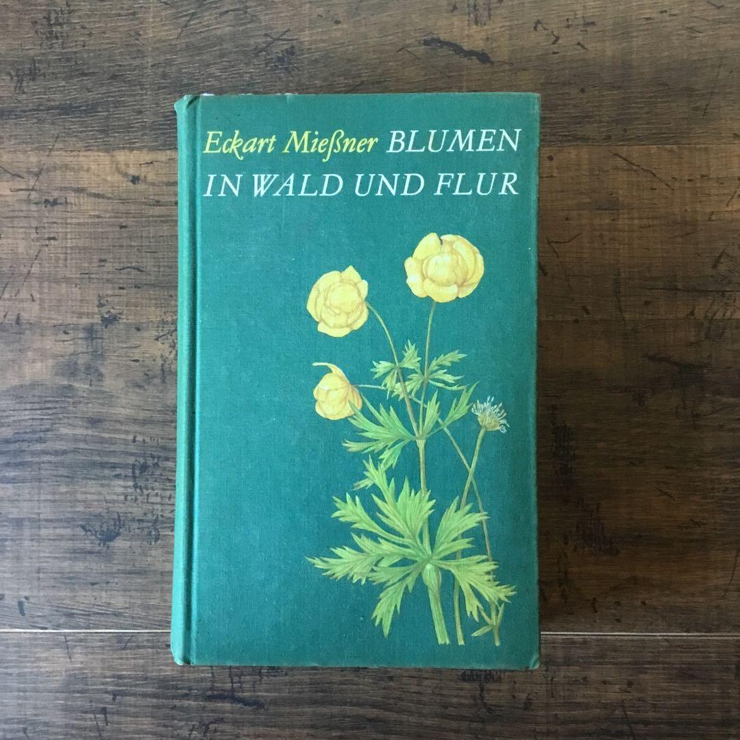 洋書　植物図鑑　ドイツ　花　BLUMEN IN WALD UND FLUR