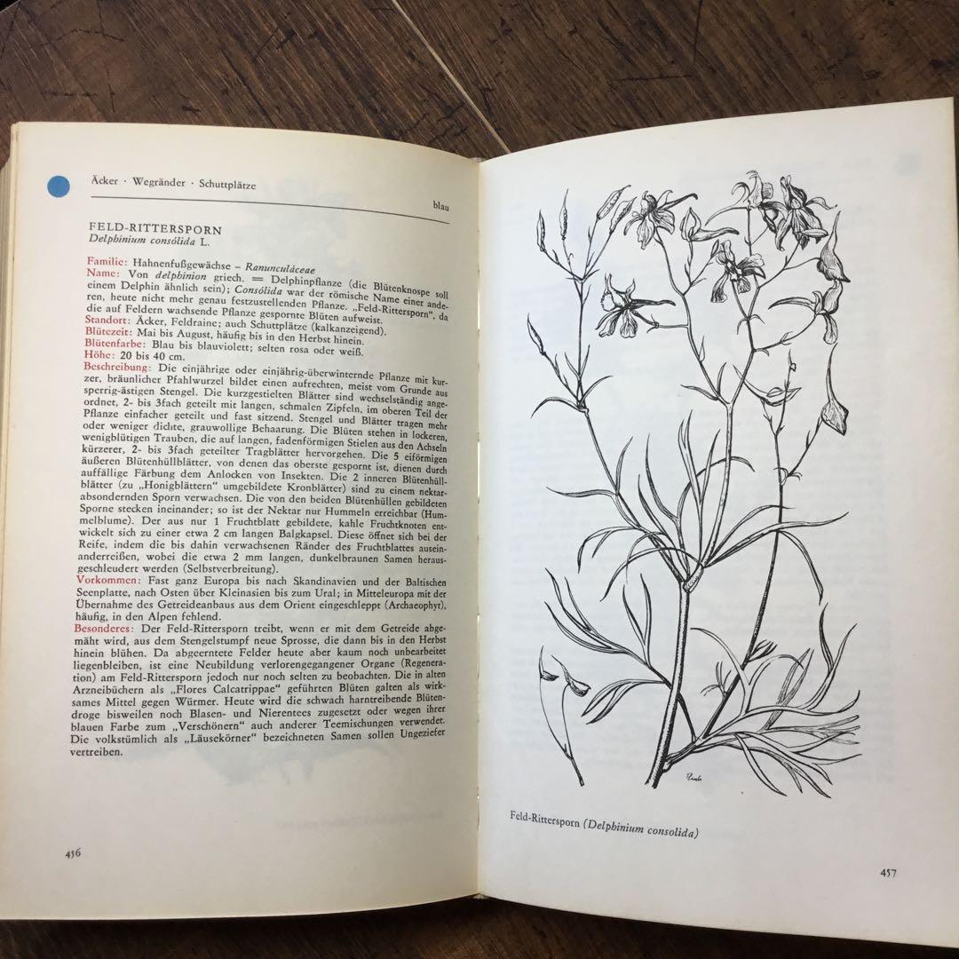 洋書　植物図鑑　ドイツ　花　BLUMEN IN WALD UND FLUR