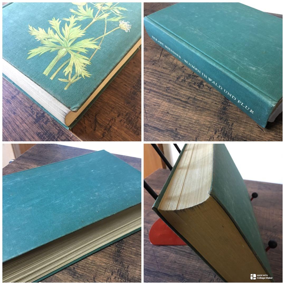 洋書　植物図鑑　ドイツ　花　BLUMEN IN WALD UND FLUR