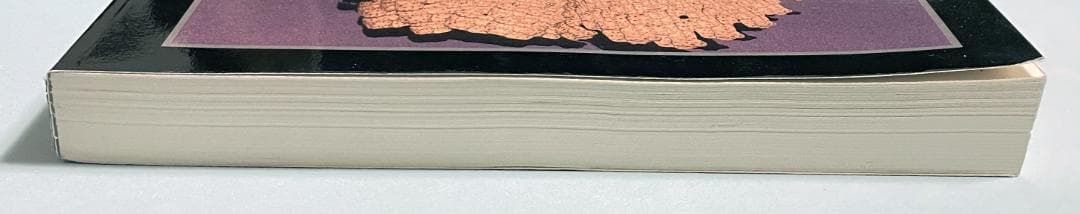 コンピュータ・IT COMPUTER GRAPHICS PROCEEDINGS 1995