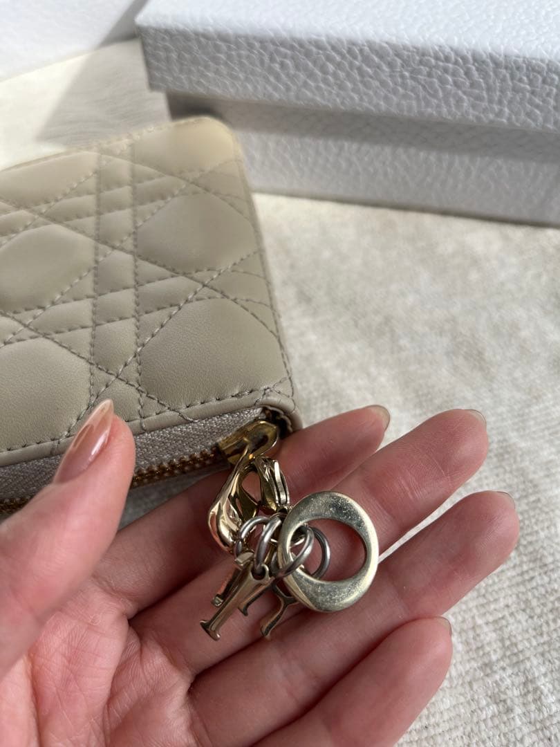 【DIOR】 ジップケース スモール ショッパー・箱付き※説明文要確認