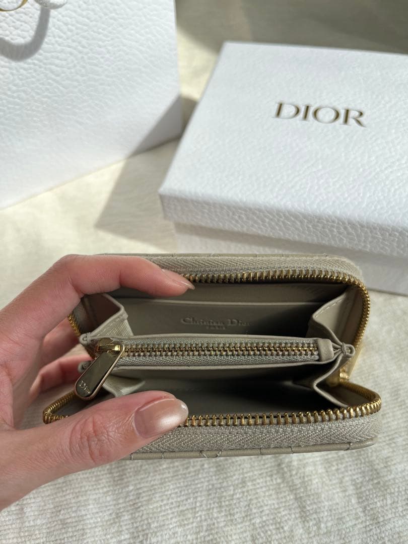 【DIOR】 ジップケース スモール ショッパー・箱付き※説明文要確認