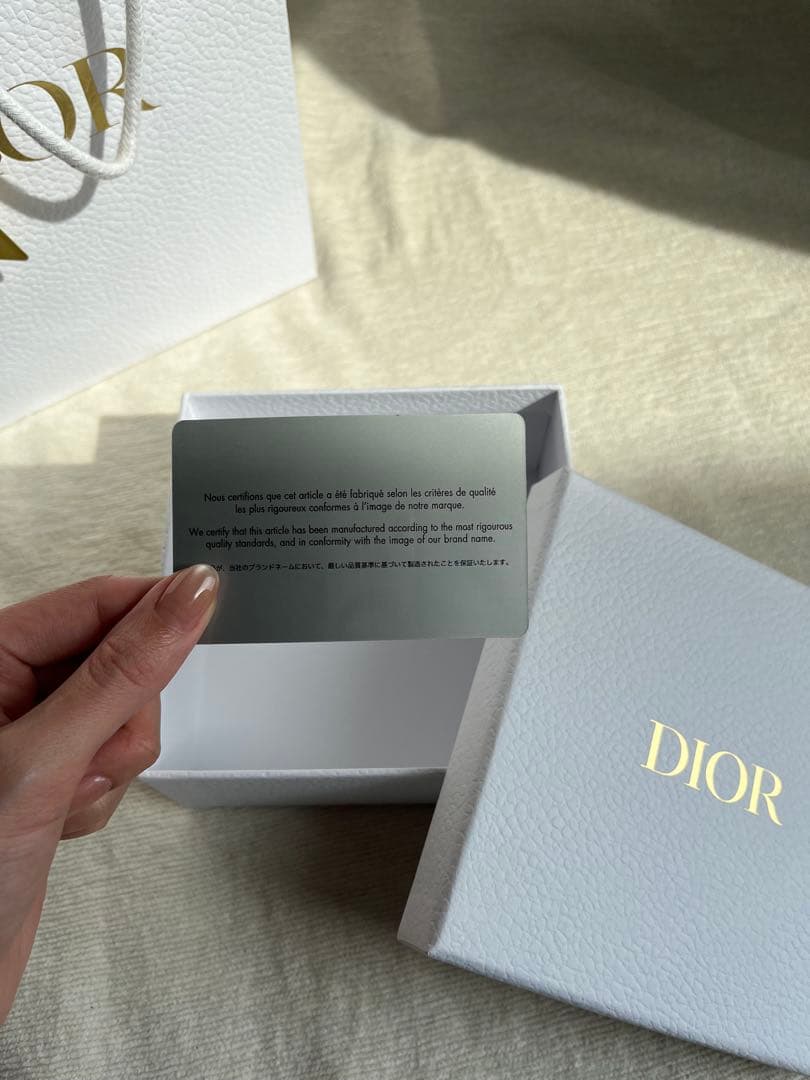 【DIOR】 ジップケース スモール ショッパー・箱付き※説明文要確認